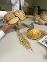Het Traagste Brood